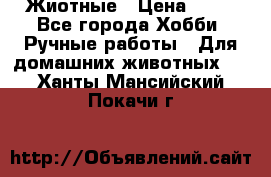 Жиотные › Цена ­ 50 - Все города Хобби. Ручные работы » Для домашних животных   . Ханты-Мансийский,Покачи г.